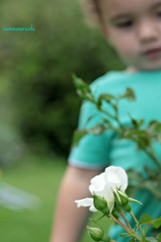 Sulla necessità di ritrovare i piccoli istanti speciali