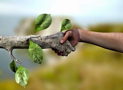 Il nostro libro delle azioni