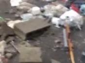 Video. Topi spazzatura Piscopia, abitanti gettano strada