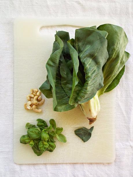 Pesto al radicchio verde di campo e anacardi