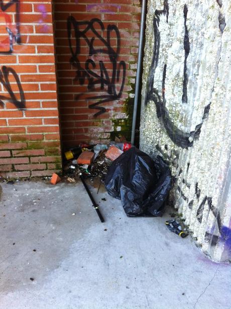 Roma vuole costruire il nuovo Ponte dei Congressi. Farà la fine del nuovo Ponte della Musica? 13 eloquenti foto da un disastro di vandalismo e abbandono