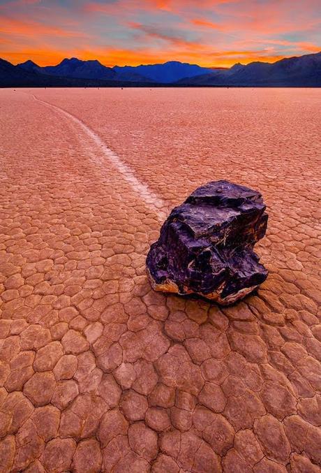 CI SEGUE ROSSO DI VERGOGNA.