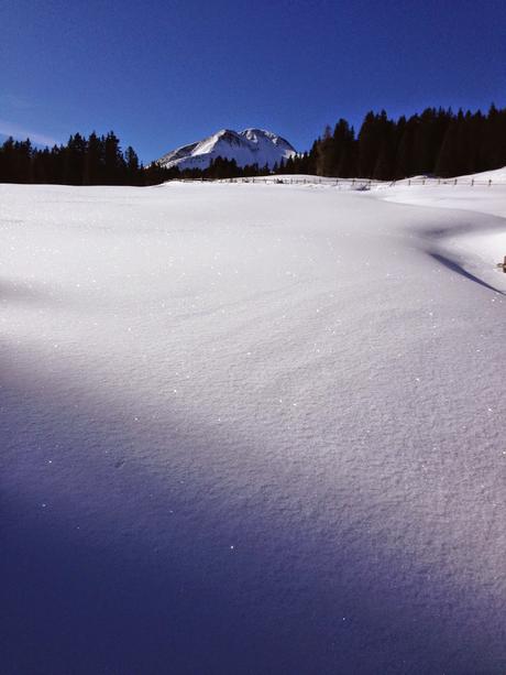 Sciata con il sole