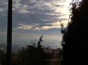 Vedere positivo