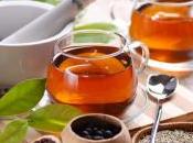 Tisane decotti, consigli preparare bevanda salutare