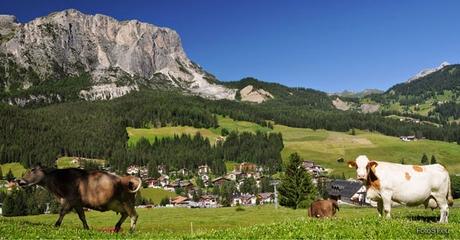 Alta Badia