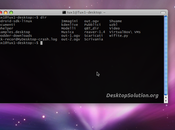 [GUIDA] Come vedere file cartelle directory terminale Linux