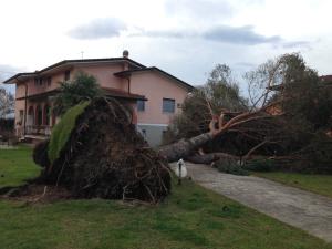 Forte dei Marmi