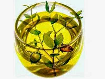 Tre modi per usare l'Olio di Jojoba come Struccante naturale