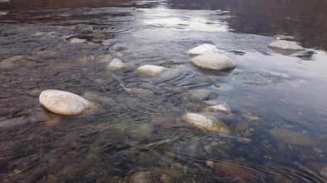 L'acqua del Sesia