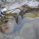big trout fishing rod pietro invernizzi