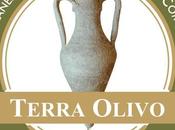 TerraOlivo 2015 blocchi partenza.