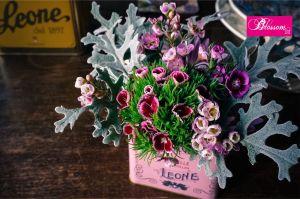 Blossom zine per Pastiglie Leone mini bouquet