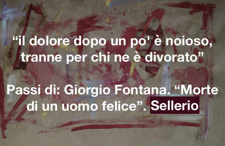 Cit. Morte di un uomo felice, Giorgio Fontana, su Esternazione di Monica Spicciani