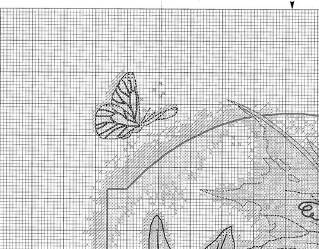 Schema de La fatina della passiflora