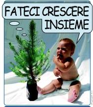 albero-neonato-manifesto