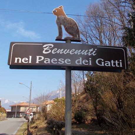 Il paese dei gatti