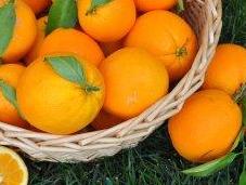 miglior difesa l'alimentazione. Micronutrienti fitonutrienti alleati della prevenzione