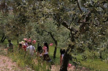 Il 25 e 26 aprile a Trevi, in Umbria, si festeggia il “Pic & Nic, arte, musica e merende tra gli olivi”