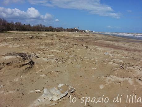 Il rigurgito del mare...