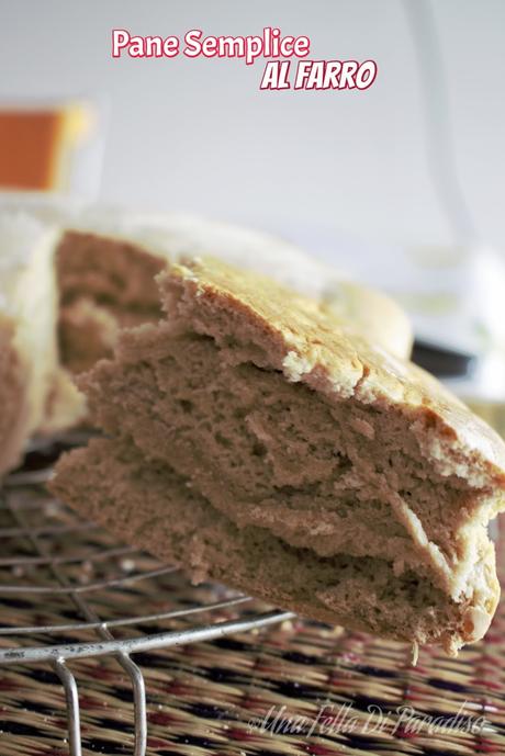 Pane Semplice Al Farro Dell'Antica Pompei