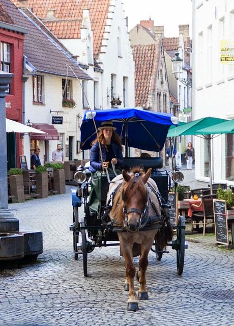 Le mie Fiandre: Bruges e les veritables Fricadelles