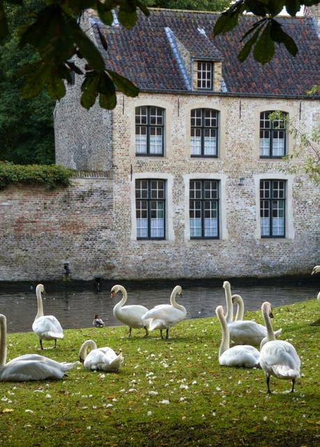 Le mie Fiandre: Bruges e les veritables Fricadelles