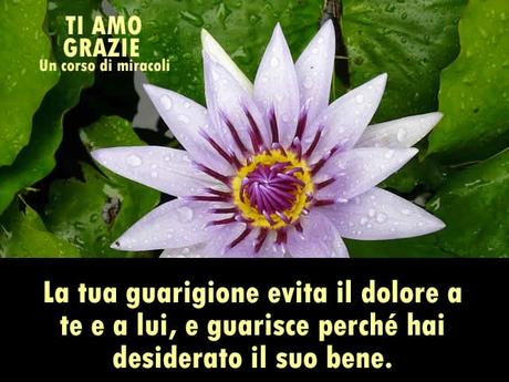 Nessuno che riposa sul vero perdono può soffrire e un corpo malato dimostra che la mente non è ancora guarita. Parte 2.