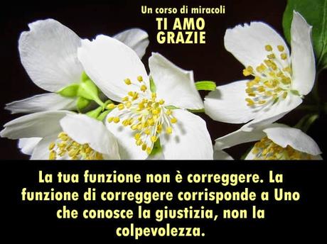 Nessuno che riposa sul vero perdono può soffrire e un corpo malato dimostra che la mente non è ancora guarita. Parte 2.