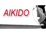 Arti marziali: contro dell’Aikido