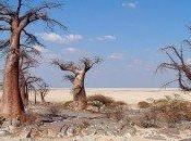 Reportage: Botswana, paradiso naturale cuore mondo