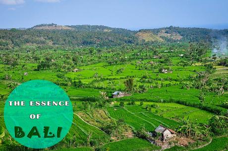 Cosa vedere a Bali -  l'essenza di Bali