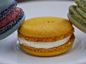 macarons sono deliziosi raffinati pasticcini, graziosi vedere piacere palato.