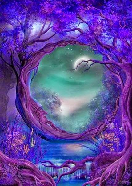 Zucchero e Spezie, dei Doni tante grazie - Abracadabra