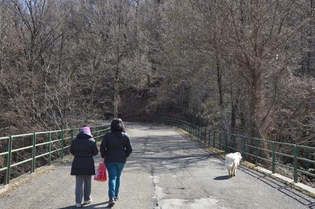 aspettando la primavera....