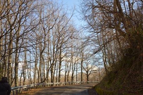 aspettando la primavera....