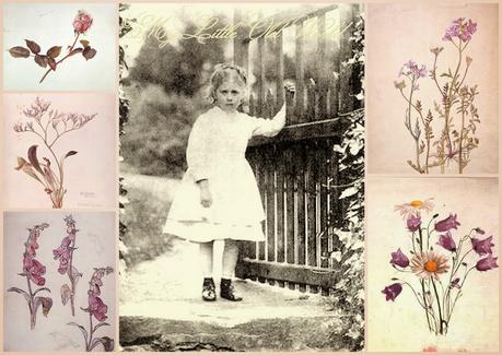 Beatrix Potter's early gardening with pencil and paintbrush.