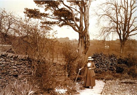 Beatrix Potter's early gardening with pencil and paintbrush.