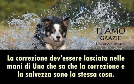 Nessuno che riposa sul vero perdono può soffrire e un corpo malato dimostra che la mente non è ancora guarita. Parte 3.