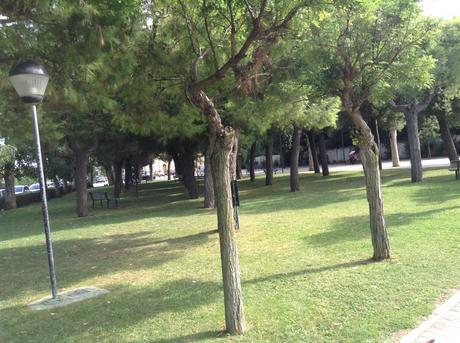 parco giochi pedaso mammemarchgiane.it