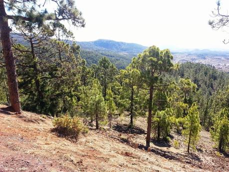 Tenerife: l'isola Canaria più elevata