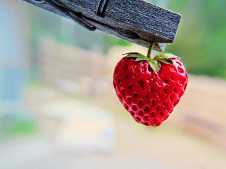 Tempo di Fragole, Tempo di Benessere