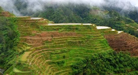 L’incanto delle terrazze di riso di Banaue