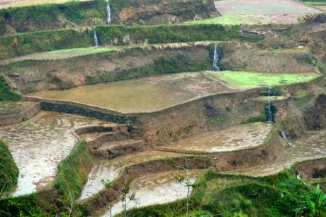 L’incanto delle terrazze di riso di Banaue