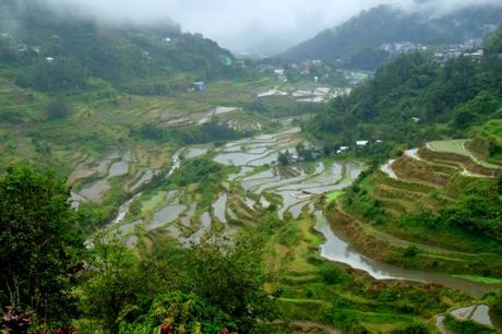 L’incanto delle terrazze di riso di Banaue