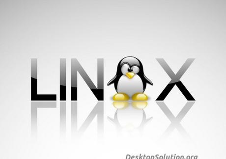 [VIDEO][GUIDA] Ecco come liberare la RAM su Linux