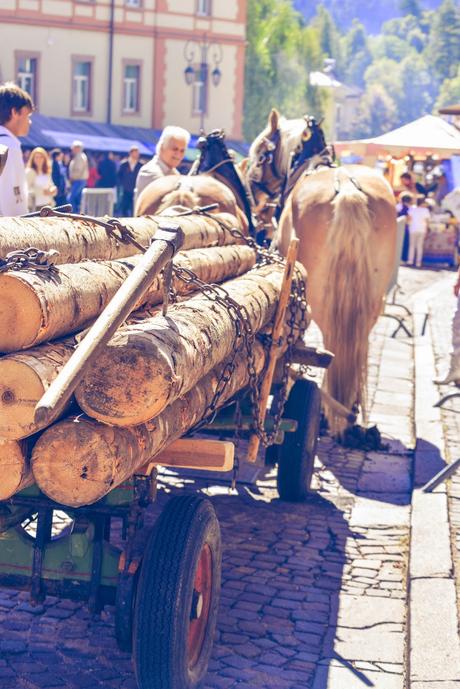 LA DESMONTEGADA IN VAL DI FIEMME [ PICCOLE GUIDE IN FOTOGRAFIE ®]