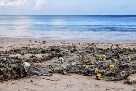 LUNA DI MIELE: SEYCHELLES [ PICCOLE GUIDE IN FOTOGRAFIE ®]