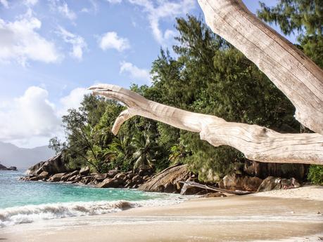 LUNA DI MIELE: SEYCHELLES [ PICCOLE GUIDE IN FOTOGRAFIE ®]