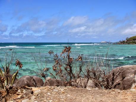 LUNA DI MIELE: SEYCHELLES [ PICCOLE GUIDE IN FOTOGRAFIE ®]